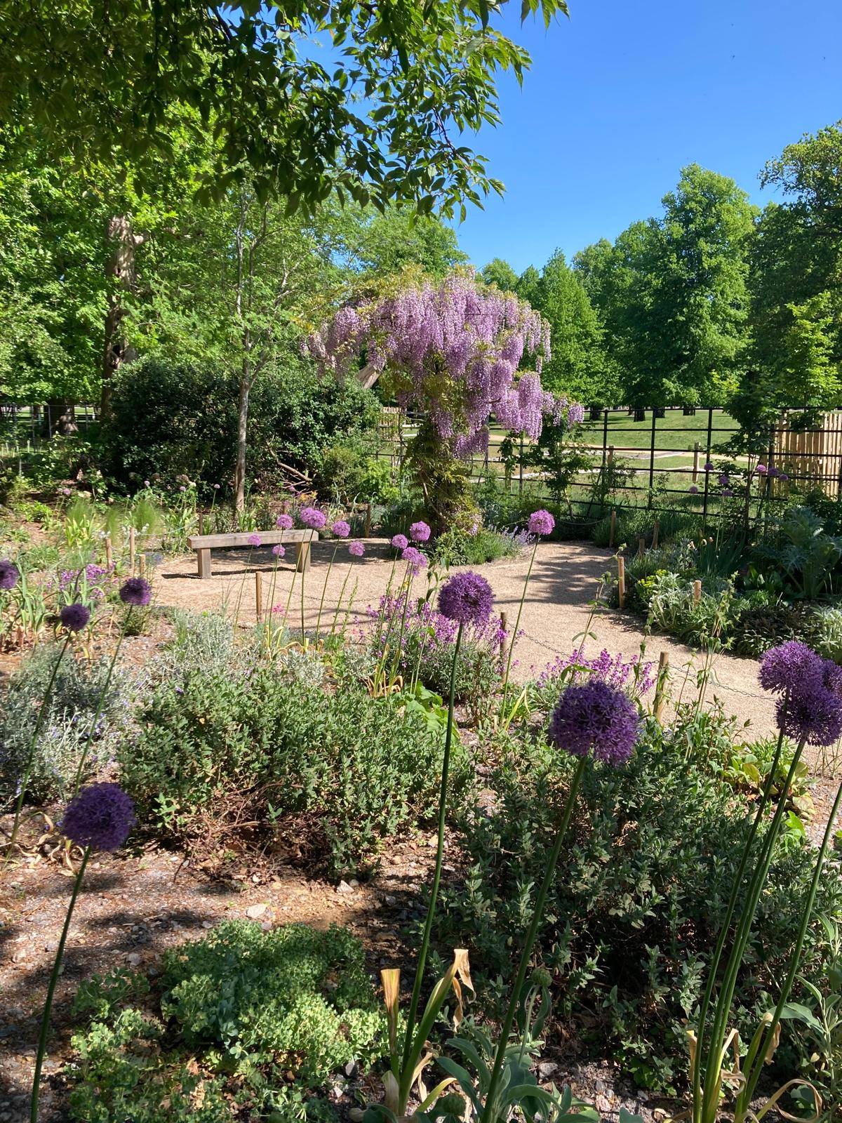 Pond reduced